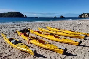 New Zealand: 17-dagers omvisning på Nordøya med camping