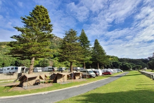 New Zealand: 17-dagers omvisning på Nordøya med camping