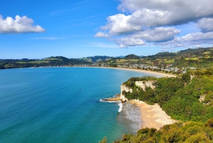 Nuova Zelanda: Tour guidato di 17 giorni dell'Isola del Nord con campeggio