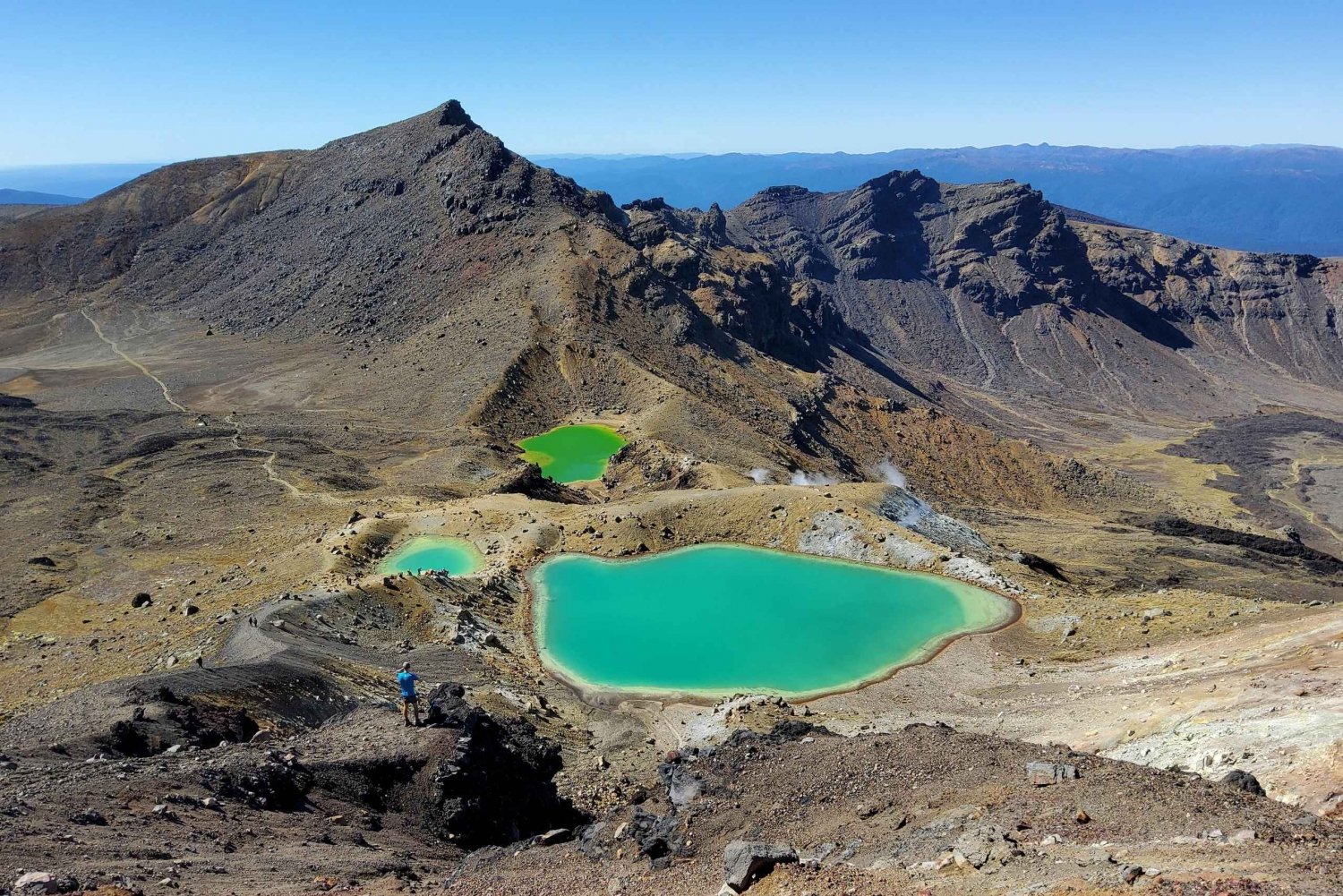 Neuseeland: Geführte 43-tägige Nordinsel Tour mit Camping