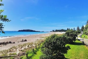 New Zealand: 43 dagers omvisning på Nordøya med camping