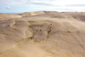 Neuseeland: Geführte 43-tägige Nordinsel Tour mit Camping