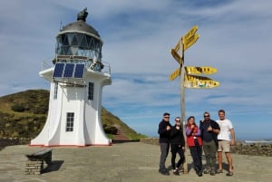 New Zealand: Guidet 43-dages Nordø-tur med camping