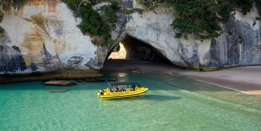 Ocean Leopard 旅游 Cathedral Cove Boat Tour