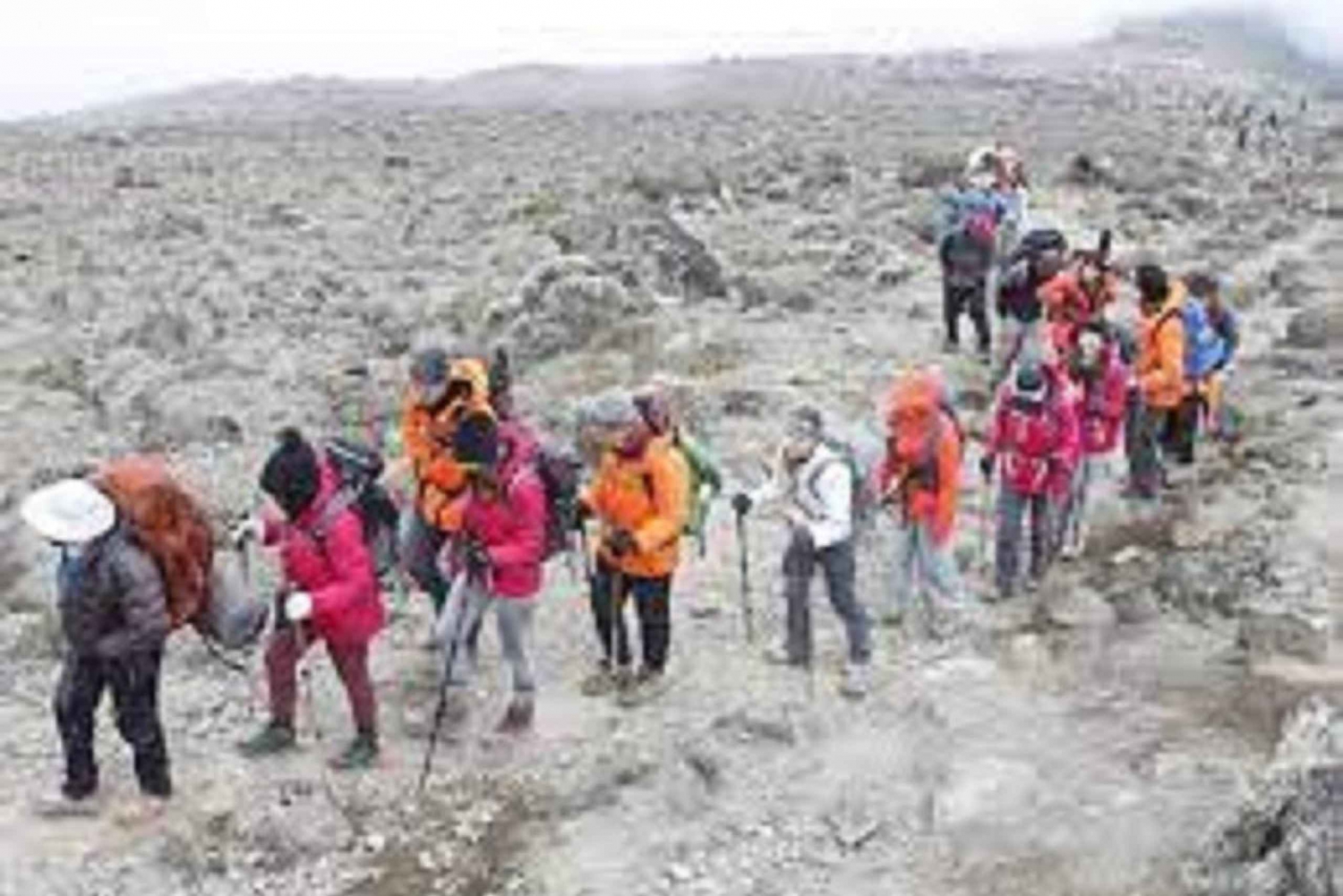 MT. 乞力马扎罗山:非洲最高峰的8天徒步之旅