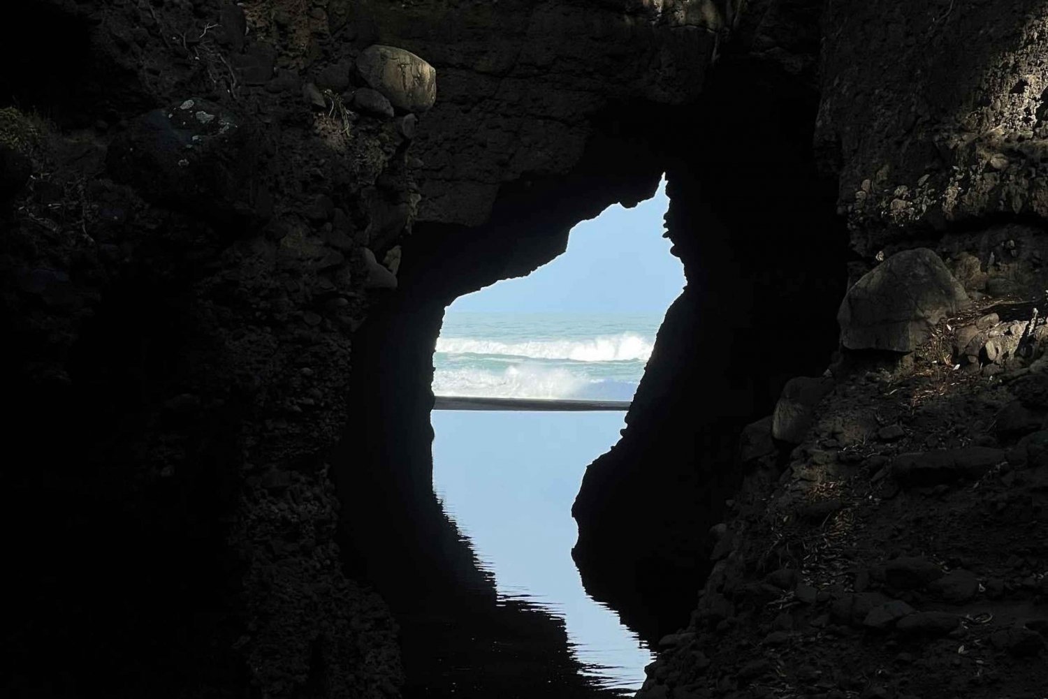 从奥克兰出发:皮哈岛导游带风景优美的海滩漫步