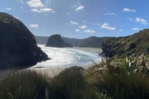 Piha & Karekare - Out of Auckland Private Tour