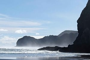 Piha & Karekare - Out of Auckland Private Tour