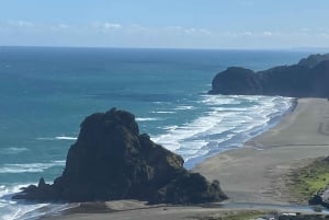 Piha & Karekare - Out of Auckland Private Tour