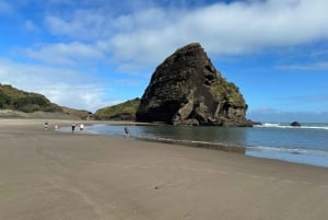 Piha y Karekare - Tour privado fuera de Auckland