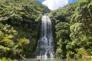 Piha y Karekare - Tour privado fuera de Auckland