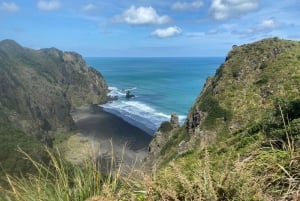 Piha et Karekare - Visite privée hors d'Auckland