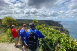 Piha & Karekare - Out of Auckland Private Tour