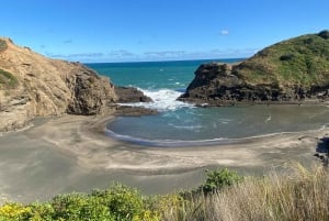 Piha & Karekare - Privat omvisning utenfor Auckland