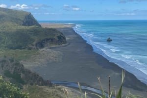 Piha & Karekare - Privat omvisning utenfor Auckland