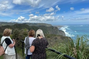 Piha y Karekare - Tour privado fuera de Auckland