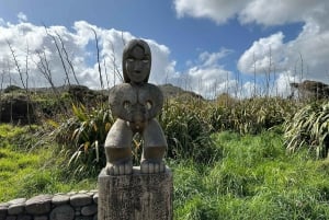 Piha et Karekare - Visite privée hors d'Auckland