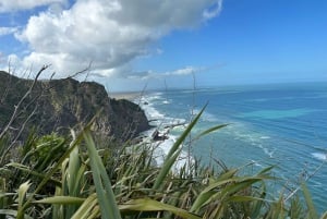 Piha & Karekare - Privat omvisning utenfor Auckland