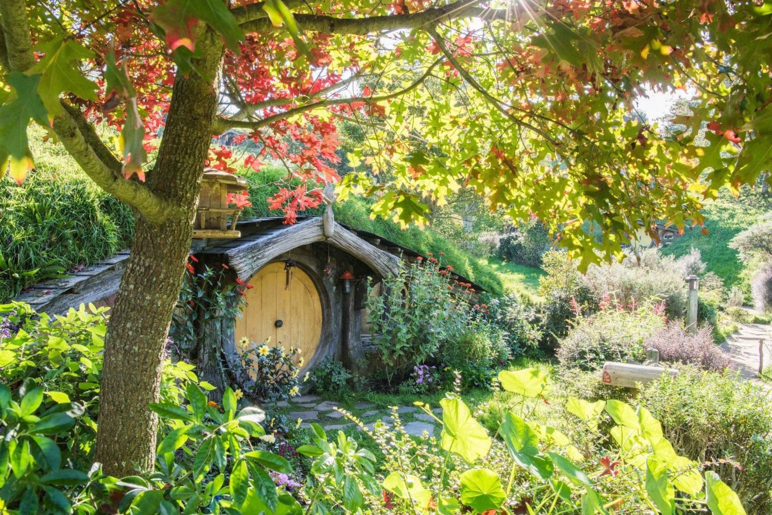 Tour privado de 2 días con Waitomo, Hobbiton y Rotorua