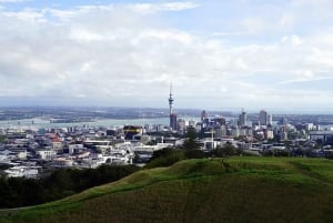 Private Auckland Best Top 5 Spots Half day Tour