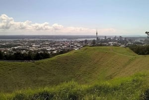 Private Auckland Best Top 5 Spots Half day Tour