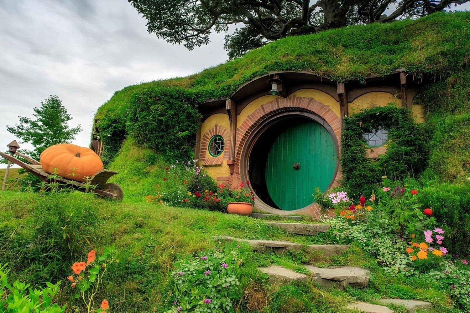 Privat Hobbiton & BlueSprings & Redwood Wald von Auckland aus