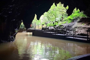 Privat dagsudflugt til Hobbiton og Waitomo glødeormshule