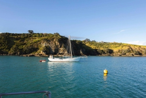 Visite privée de luxe de l'île de Waiheke - Auckland via Car Ferry