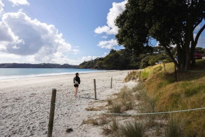 Visite privée de luxe de l'île de Waiheke - Auckland via Car Ferry