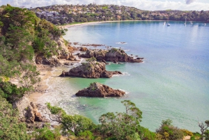 Visite privée de luxe de l'île de Waiheke - Auckland via Car Ferry