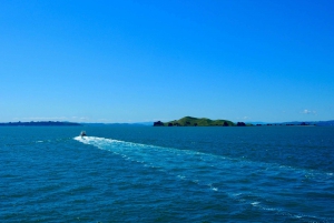 Tour particular de luxo em Waiheke Island - Auckland via Car Ferry