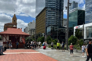 Traslado Premium de la ciudad de Auckland al aeropuerto de Auckland