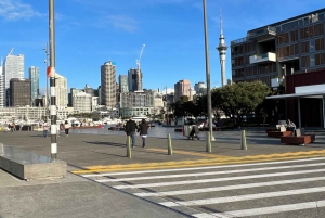 Traslado Premium de la ciudad de Auckland al aeropuerto de Auckland