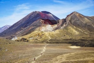 Traslado privado al Cruce Alpino del Tongariro desde Auckland