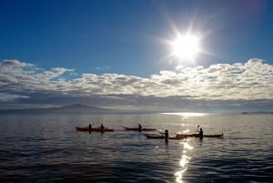Rangitoto Island: Sea Kayak & 山顶徒步一日游