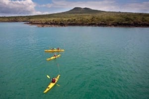 朗伊托托岛:海上皮艇 & 山顶徒步一日游
