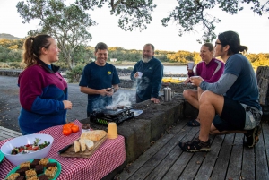 Rangitoto Island: Dagsudflugt med havkajak og vandretur på toppen