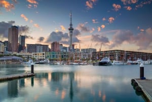 Aucklands romantiske charme - byvandring