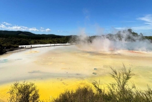 Rotorua e Taupo com gêiseres Waiotapu e LadyKnox e Huka Falls