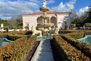 GROTTE DE RUAKURI ET JARDINS DE HAMILTON - VISITE PRIVÉE AU DÉPART D'AUCKLAND