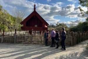 GROTTE DE RUAKURI ET JARDINS DE HAMILTON - VISITE PRIVÉE AU DÉPART D'AUCKLAND