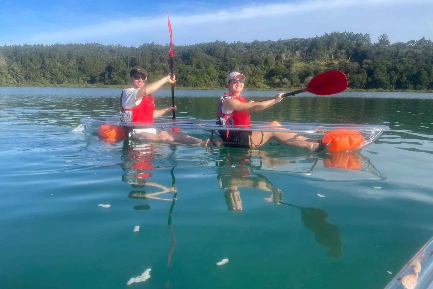 Auckland : Aventure en kayak à fond transparent