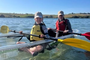 Auckland: Aventura en kayak con fondo transparente