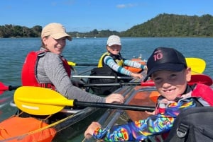 Auckland: Aventura en kayak con fondo transparente