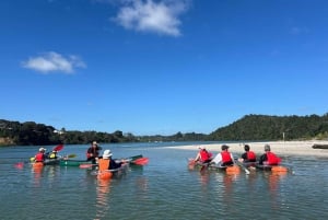 Auckland: Aventura em caiaque de fundo transparente