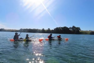 Auckland: Aventura en kayak con fondo transparente