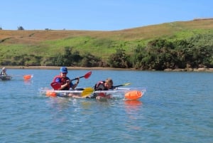 Auckland: Aventura en kayak con fondo transparente