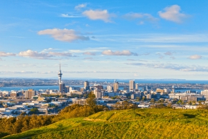 Auckland: Fåreklipning og byrundvisning med frokost