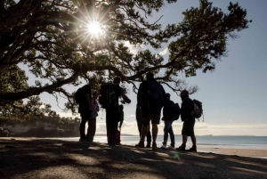 Soziale Naturbewegung - Teambuilding