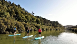 Soziale Naturbewegung - Teambuilding